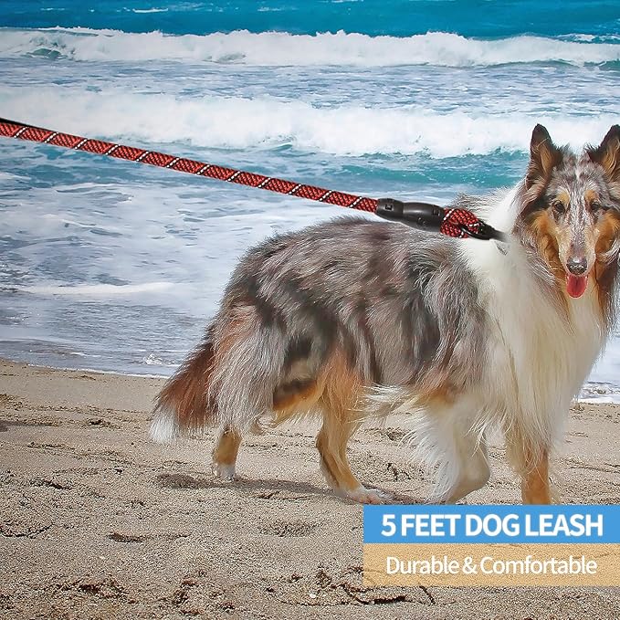 BAAPET 2/4/5/6 FT Dog Leash with Comfortable Padded Handle and Highly Reflective Threads for Small Medium and Large Dogs (5FT-1/2''