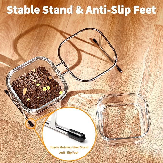 Elevated Cat Bowls 15° Tilted 2 Large 4 Anti