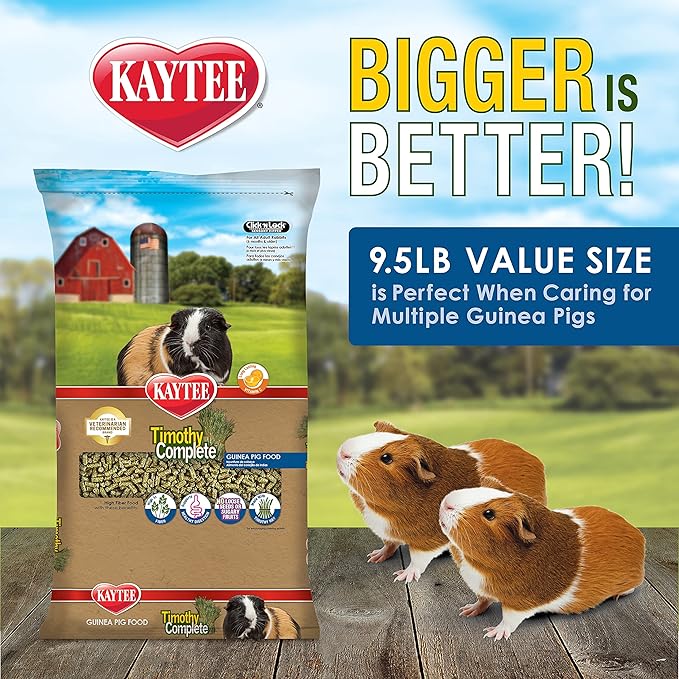 Kaytee Timothy Complete Pet Guinea Pig Food 9.5 Pound