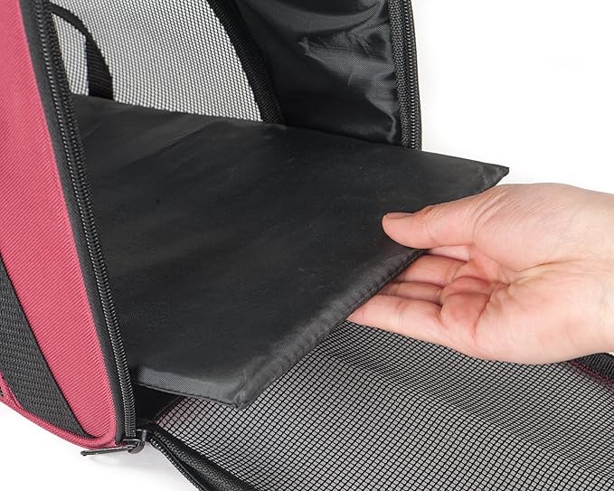 Soft-Sided Pet Carrier for Cat and Small Dog 2 Mesh