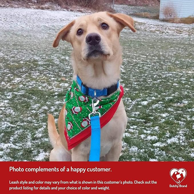 Ultra Strong Dog Car Tether