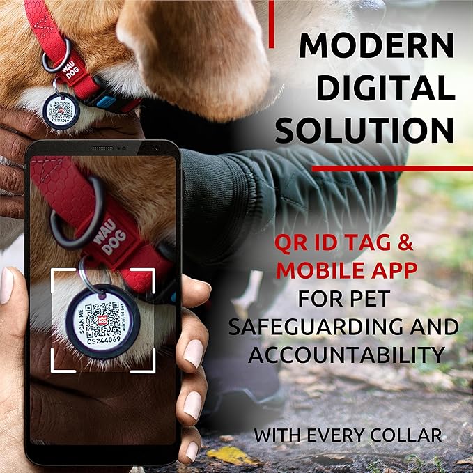 Waterproof Dog Collar