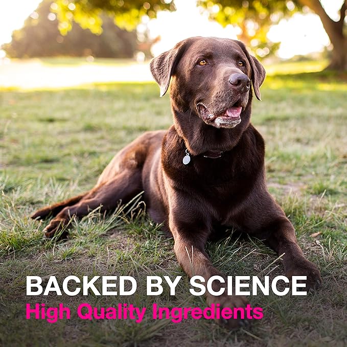Proviable Digestive Health Supplement Kit with Multi-Strain Probiotics and Prebiotics for Medium to Large Dogs 7 Strains 30 mL 10 Capsules