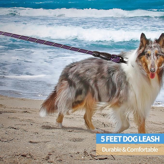 BAAPET 2/4/5/6 FT Dog Leash with Comfortable Padded Handle and Highly Reflective Threads for Small Medium and Large Dogs (5FT-1/2''