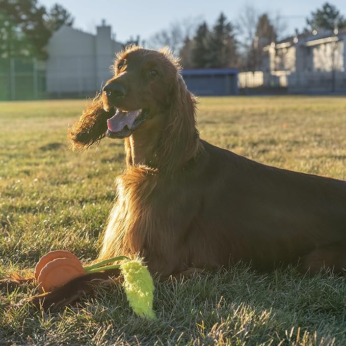 Outward Hound Tail Spinner Squeaky Dog Chase Toy