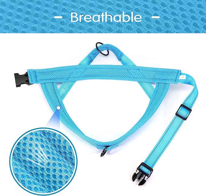 Didog Soft Mesh Padded Dog Vest Harness 26-32", Mesh-Blue)