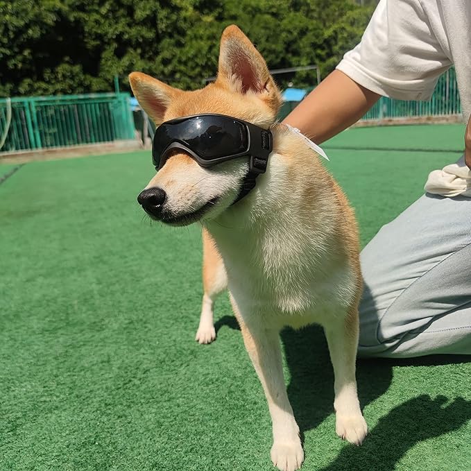 Cool Dog Goggles Small Breed