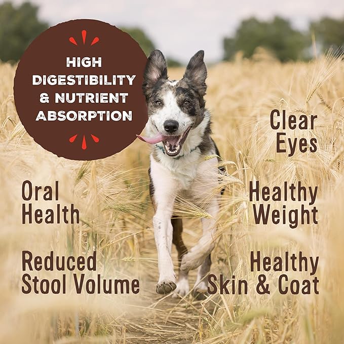 Primal Freeze Dried Dog Food Pronto, Lamb; Scoop & Serve, Complete & Balanced Meal; Also Use as Topper or Treat; Premium, Healthy, Grain Free, High Protein Raw Dog Food (25 oz, 2-pack)