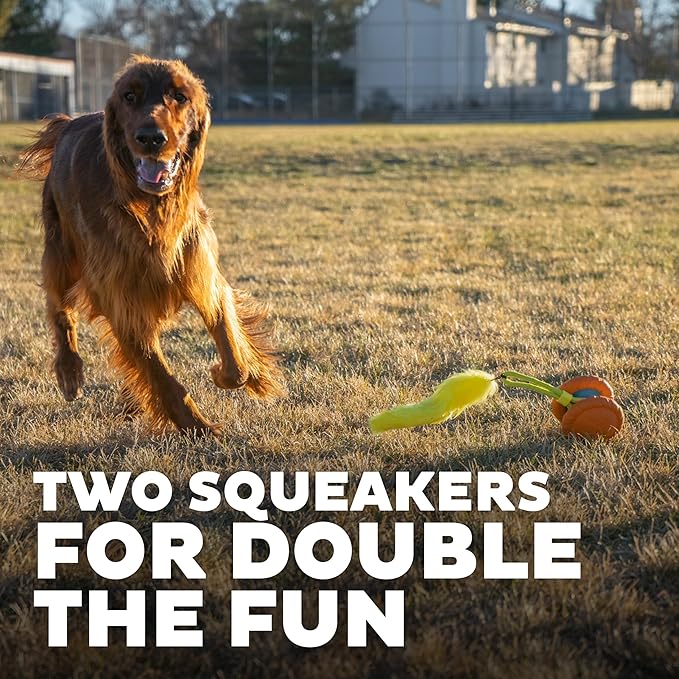 Outward Hound Tail Spinner Squeaky Dog Chase Toy