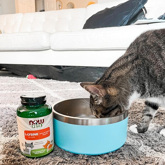 NOW Foods Pet Health 8-Ounce