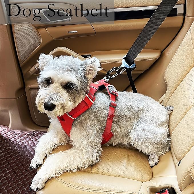 Dog Car Seat Belt Buckle