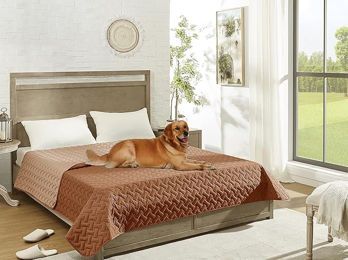 gogobunny 100% Double Sided Waterproof Dog Blanket Soft Pet Bed Cover Reversible Protect Furniture Couch Sofa Car for Puppy Cat Kids (Dark Pumpkin/Light Pumpkin 30x30 Inch 1))