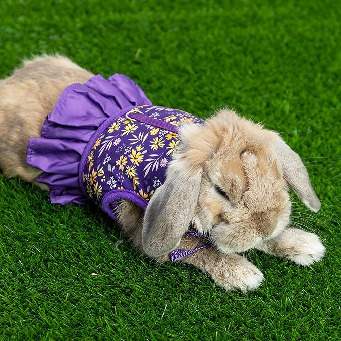 Rabbit Harness and Leash for Walking Escape Proof