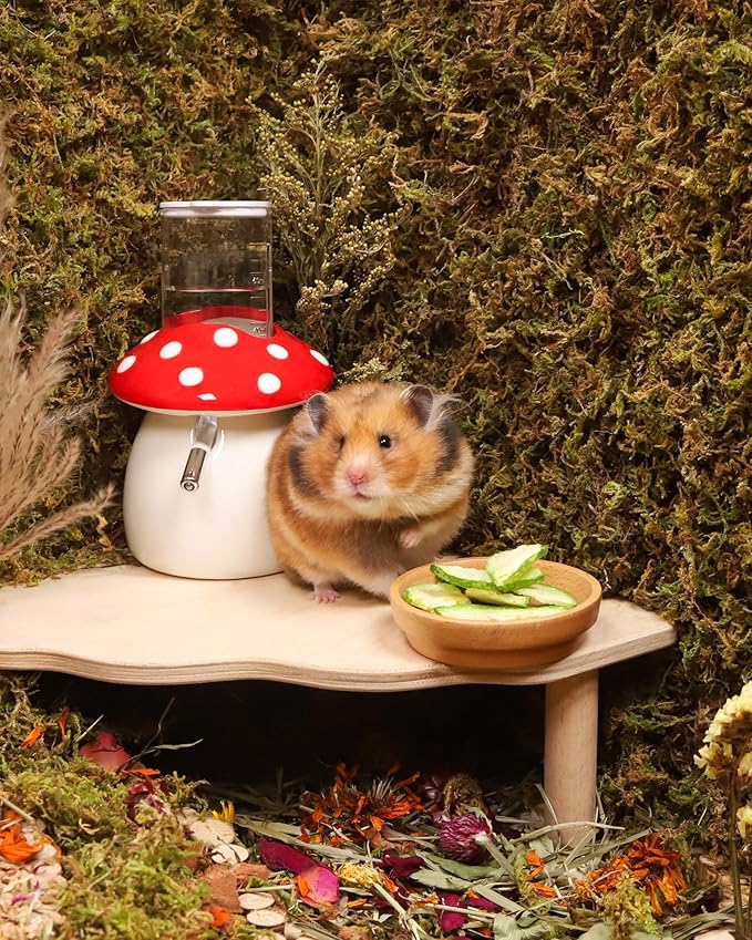 Niteangel Hamster Snack & Treats Toy
