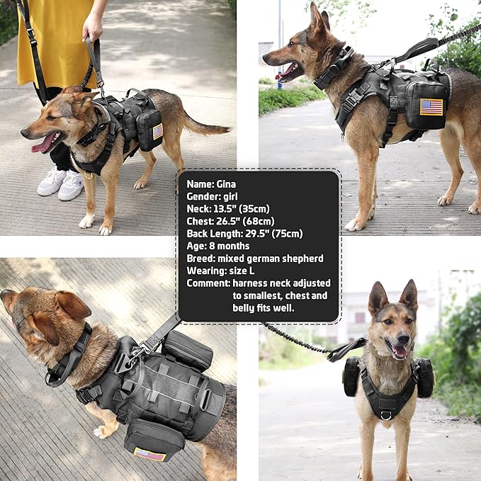 Forestpaw Tactical Dog Harness for Large Dogs