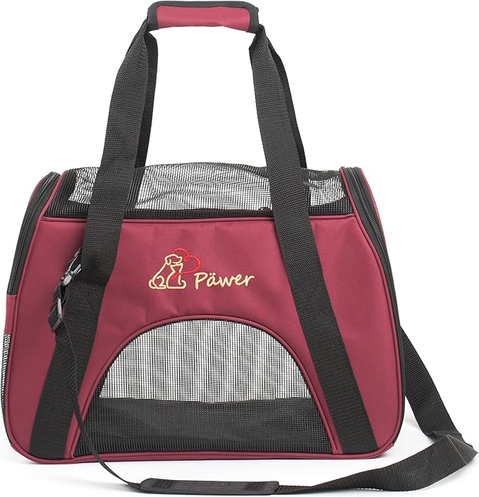 Soft-Sided Pet Carrier for Cat and Small Dog 2 Mesh
