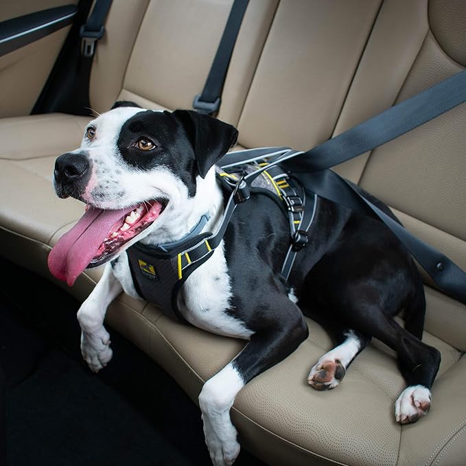 Kurgo Impact Dog Car Harness 108 lbs,