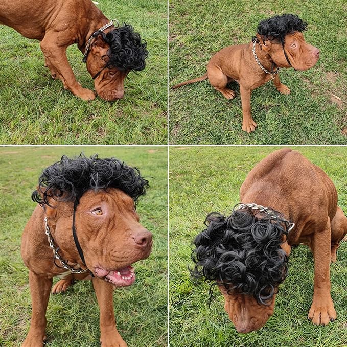 Funny Dog Cat Cosplay Wig