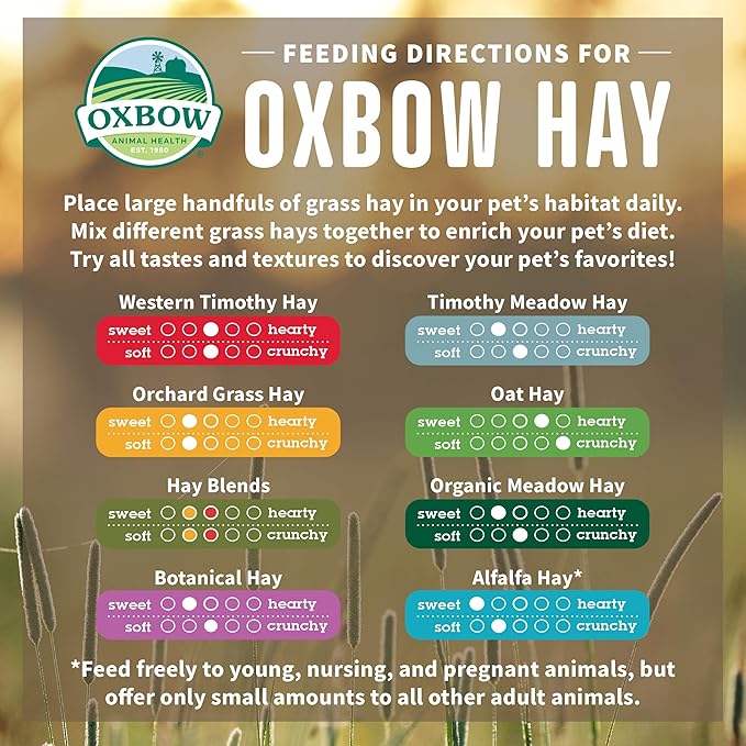 Oxbow Animal Health Alfalfa Hay 15 Ounce