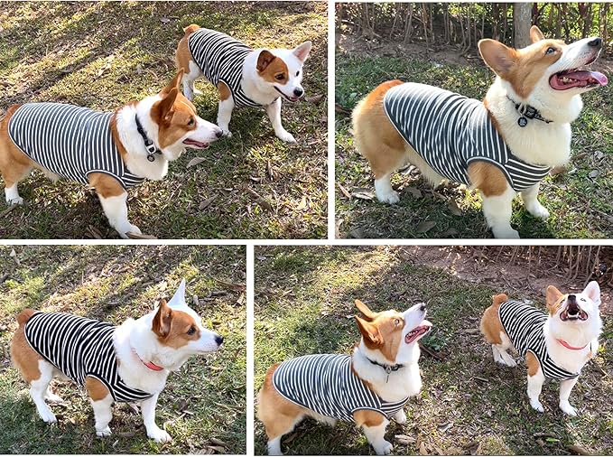 Koneseve Dog Shirt Vest Lightweight Stretchy Dog T-Shirt 2 Pack