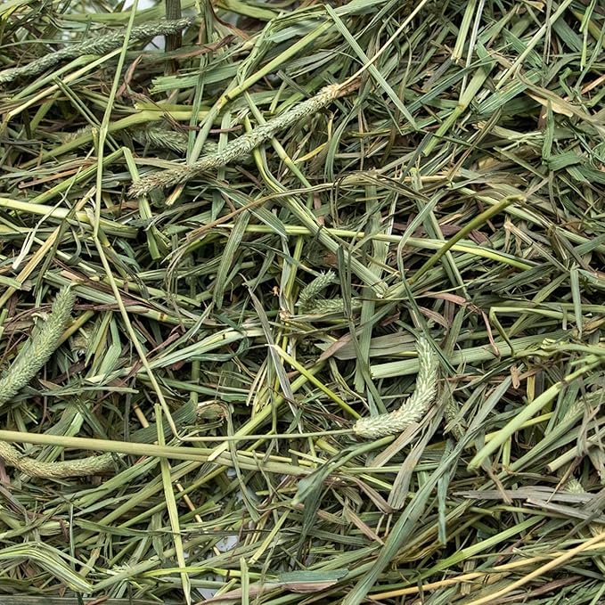 Ultra Premium Medium Timothy Hay for Small Pets 20 lb