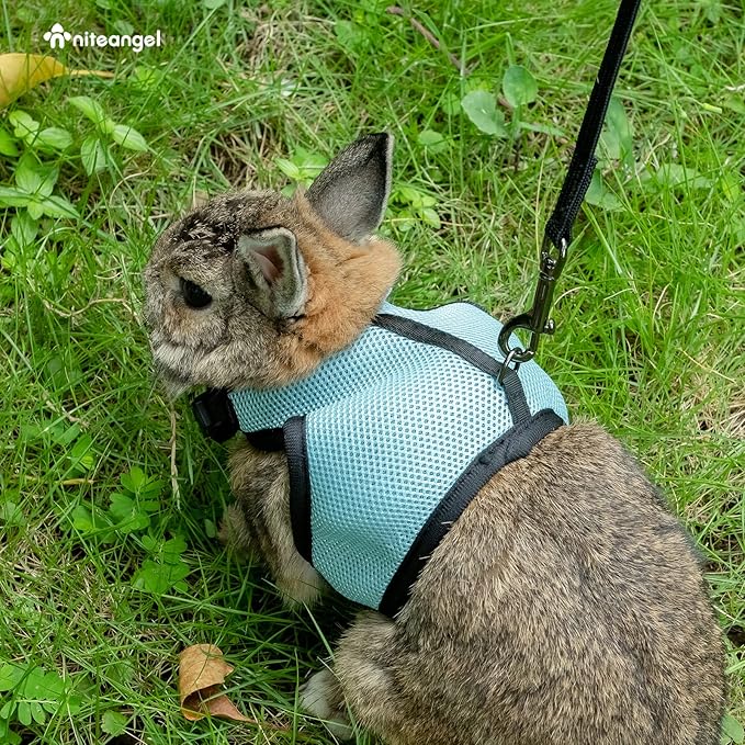 Niteangel Adjustable Soft Harness with Elastic Leash for Rabbits (L