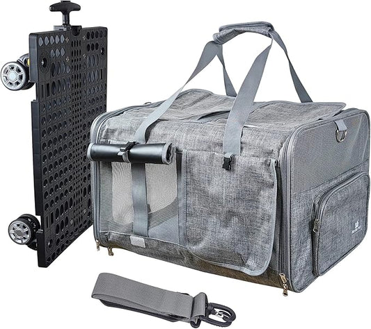 Innovative Cat Carrier for 2 Cats