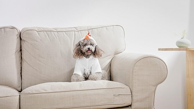 Dog Chicken Costume