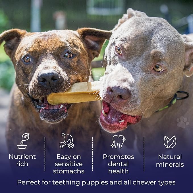 Devil Dog Pet Co. Himalayan Yak Chews – Extra Large 6 Pack 100% Natural