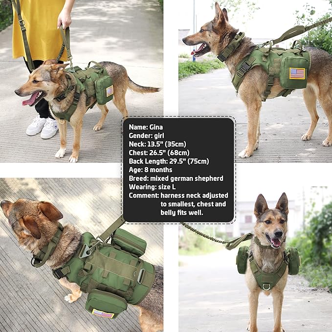 Forestpaw Tactical Dog Harness for Large Dogs