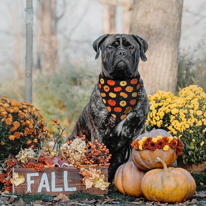 Fall Dog Bandanas - 2 Pack Halloween Thanksgiving Dog Bandana | Reversible Pumpkin and Leaf Pet Scarf for Boy & Girl | Premium Durable Fabric | Holiday Bandana for Small and Medium Dogs (Small)