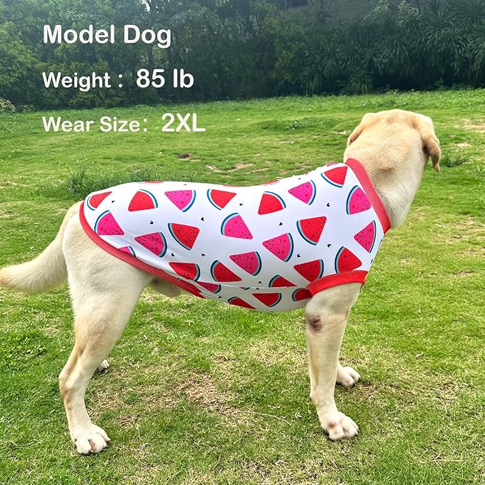 Dog Sleeveless T Shirt Fun Fruit Prints Dog Vest Shirt Soft Stretchy Summer Clothes for Large Dog Boys Girls Shirt (X-Large,Watermelon)