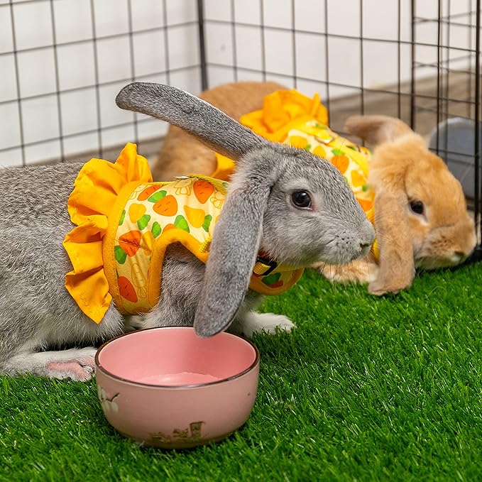 Rabbit Harness and Leash for Walking Escape Proof