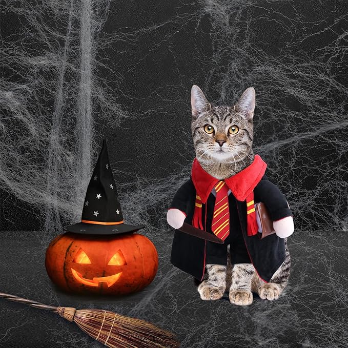 DELIFUR Dog Halloween Wizard Costume