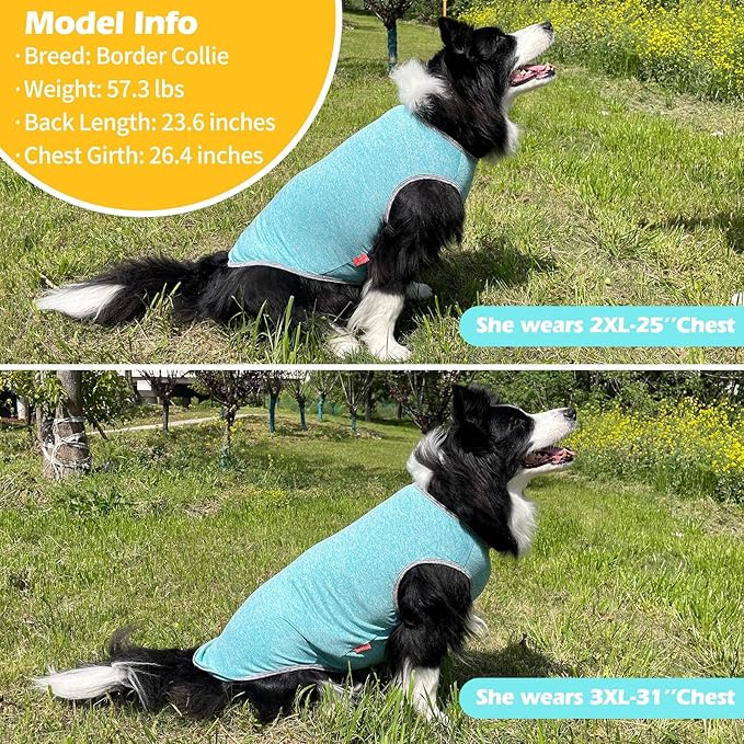 KYEESE 2 Pack Dog Shirts for Large Dogs Quick Dry Breathable Stretchy Sun Protection Dog T-Shirts with Reflective Label Tank Top Sleeveless Vest Dog Clothes 3XL