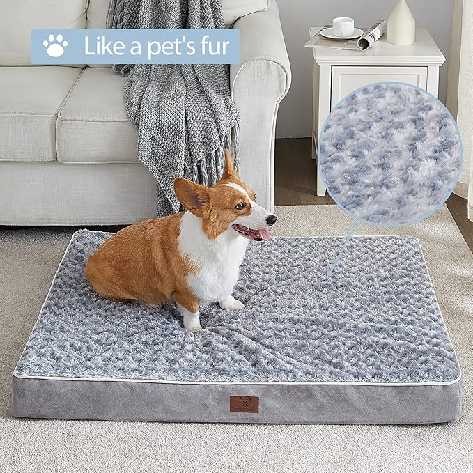 WNPETHOME Orthopedic Large Dog Bed 54 x 36 x 4 inch,
