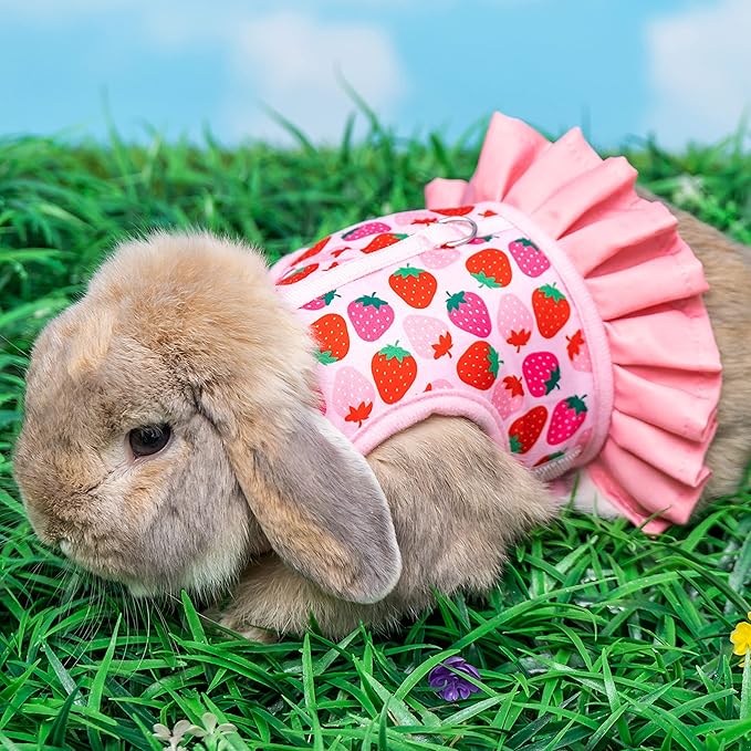 Rabbit Harness and Leash for Walking Escape Proof