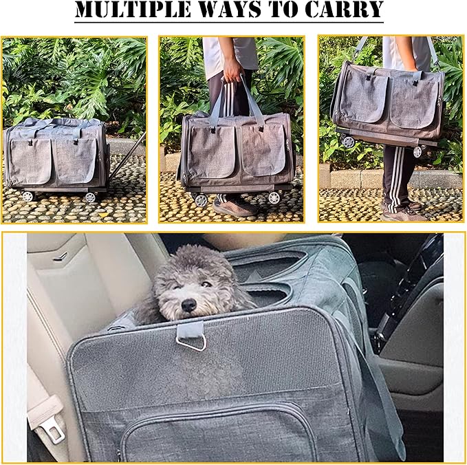 Innovative Cat Carrier for 2 Cats