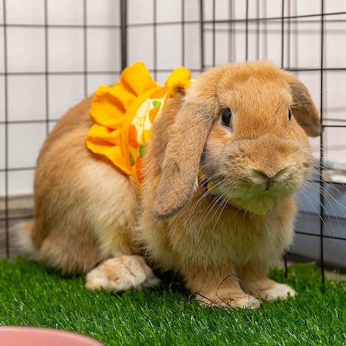 Rabbit Harness and Leash for Walking Escape Proof