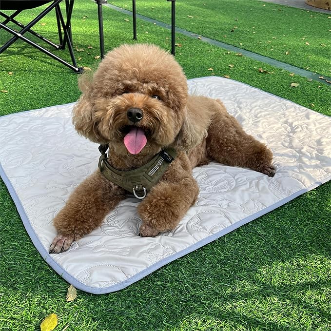 Kritter Planet Pack of 2 Waterproof Dog Bed Pad 30 x 40 inch