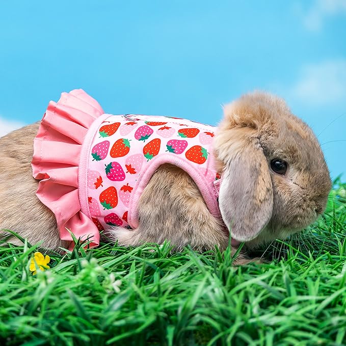 Rabbit Harness and Leash for Walking Escape Proof