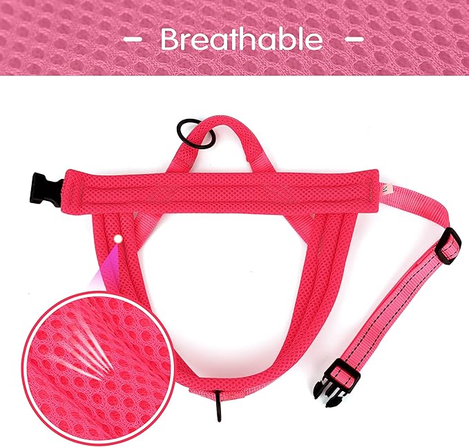 Didog No Pull Dog Harness with Soft Mesh Padded