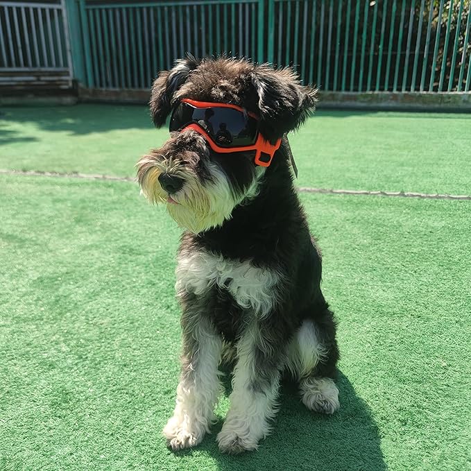 Cool Dog Goggles Small Breed