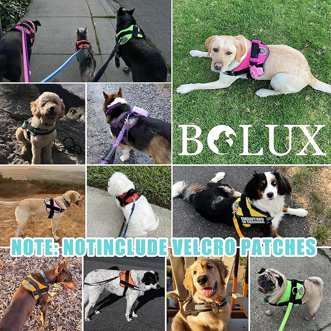 Bolux Dog Harness
