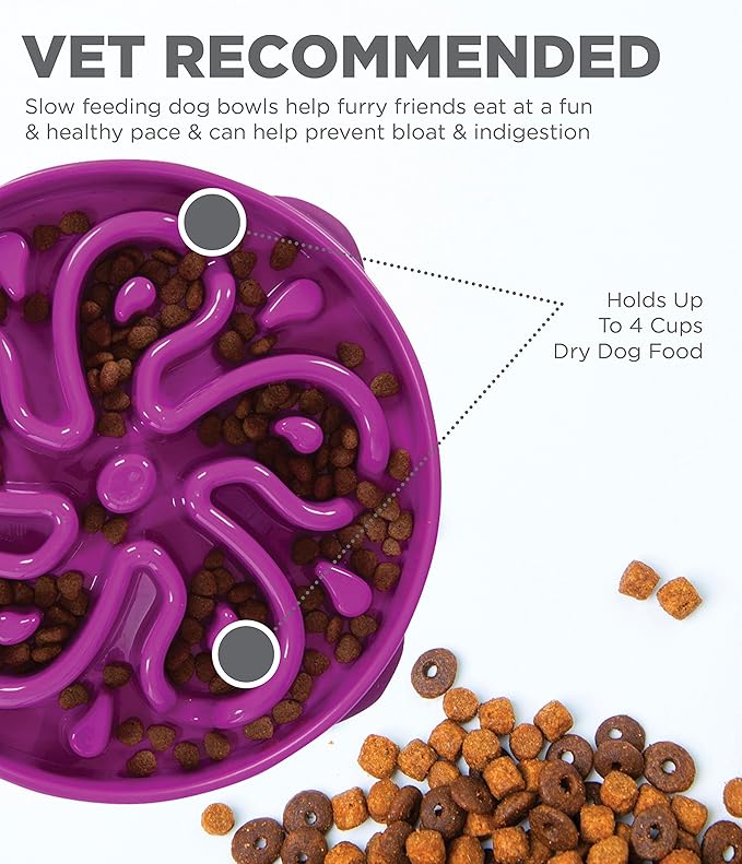 Outward Hound Fun Feeder Slo Bowl