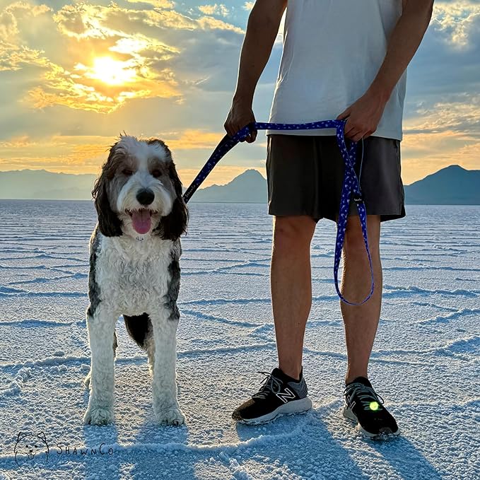 ShawnCo Dream Walk Dog Leash- Premium 6FT w/ 2 Handles)