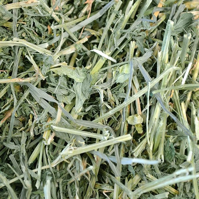 Oxbow Animal Health Alfalfa Hay 15 Ounce