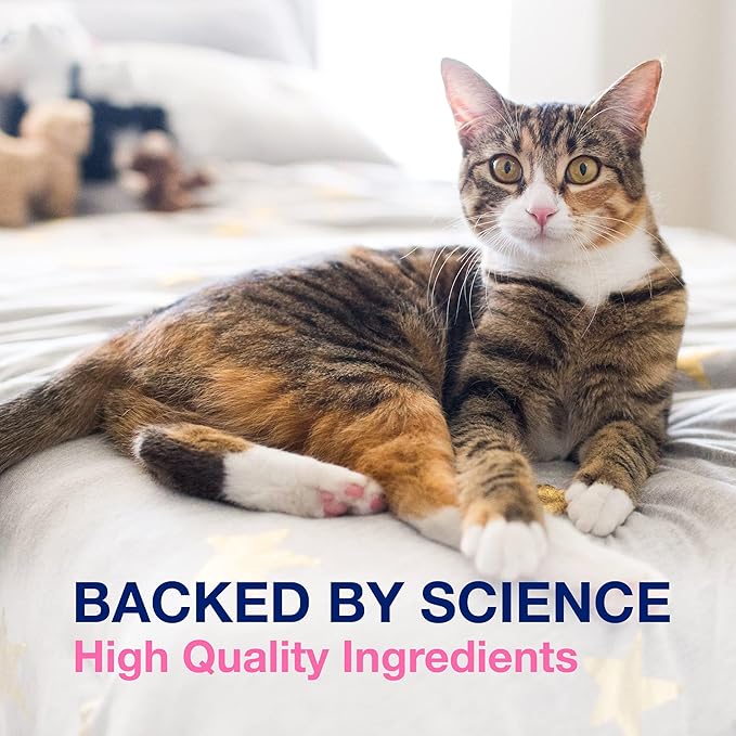 Nutramax Proviable Digestive Health Supplement Multi-Strain Probiotics and Prebiotics for Cats and Dogs 7 Strains 80 Capsules,