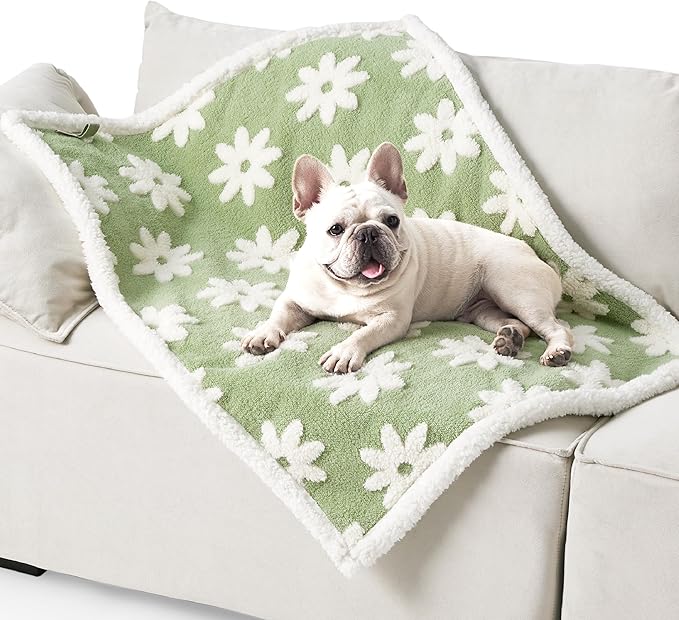 Lesure Waterproof Dog Blanket for Medium Dogs 3D Textured