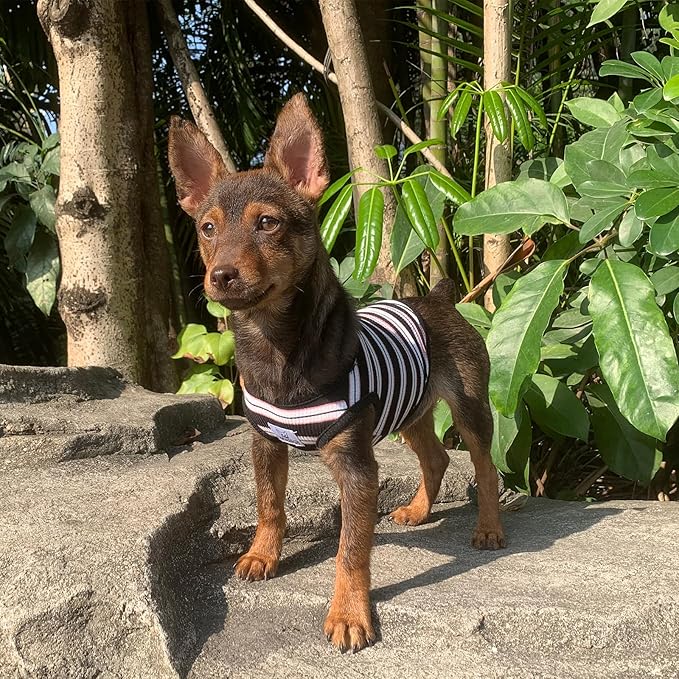 YQYS Dog Shirts Multi-color Striped Cotton Vest for Small Dogs and Cats Puppy Clothes Teacup Dog Clothing Tank Top for Chihuahua Miniature Pinscher Black Large